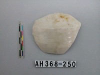 藏品(安平壺腹片)的圖片